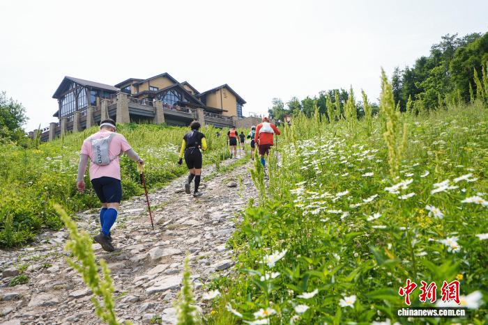 深度解读：解析热门赛事的关键战术与表现。 - hth